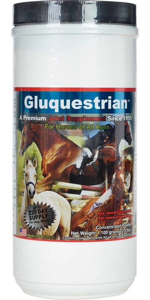 Gluquestrian